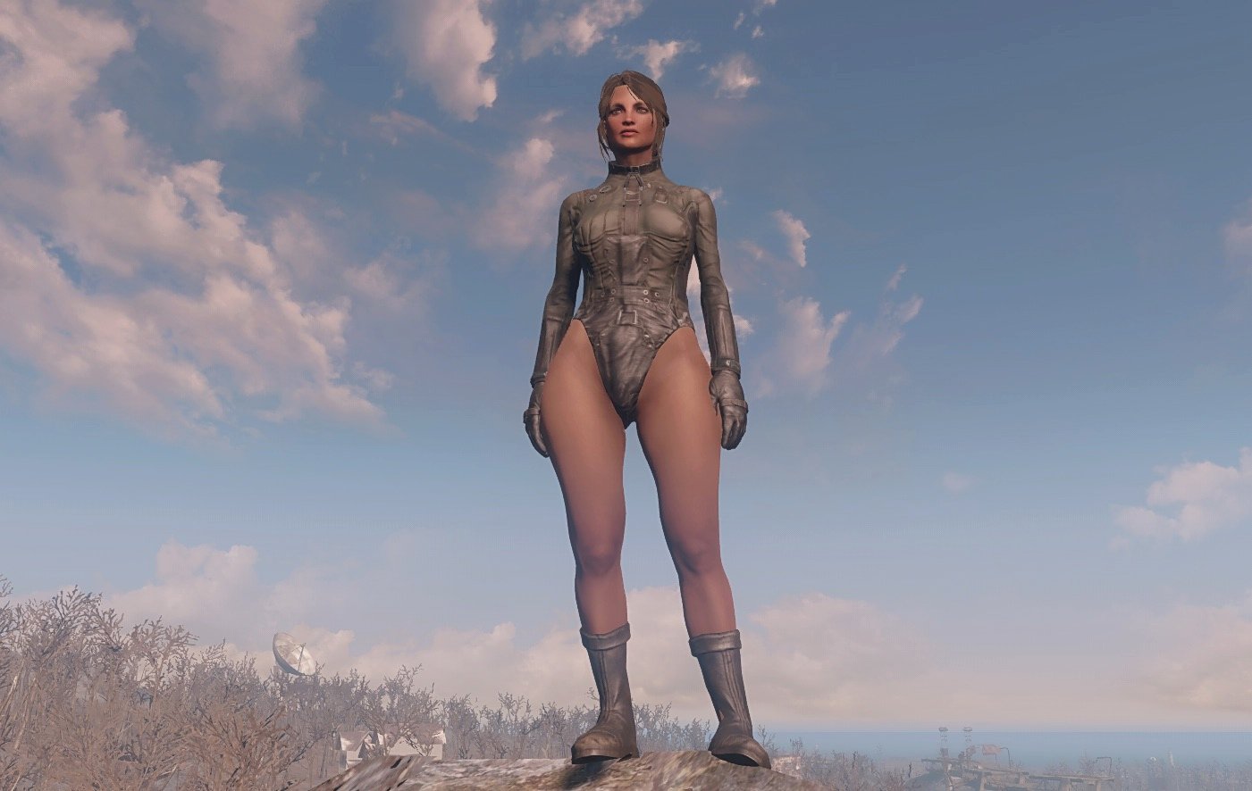 Fallout 4 clothes replacer фото 107