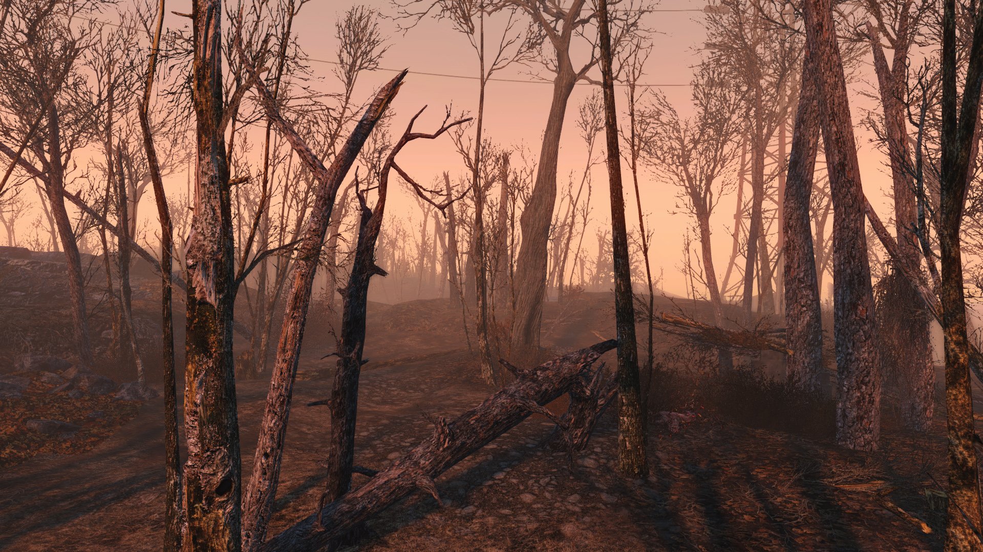 Fallout 4 удалить все деревья фото 2