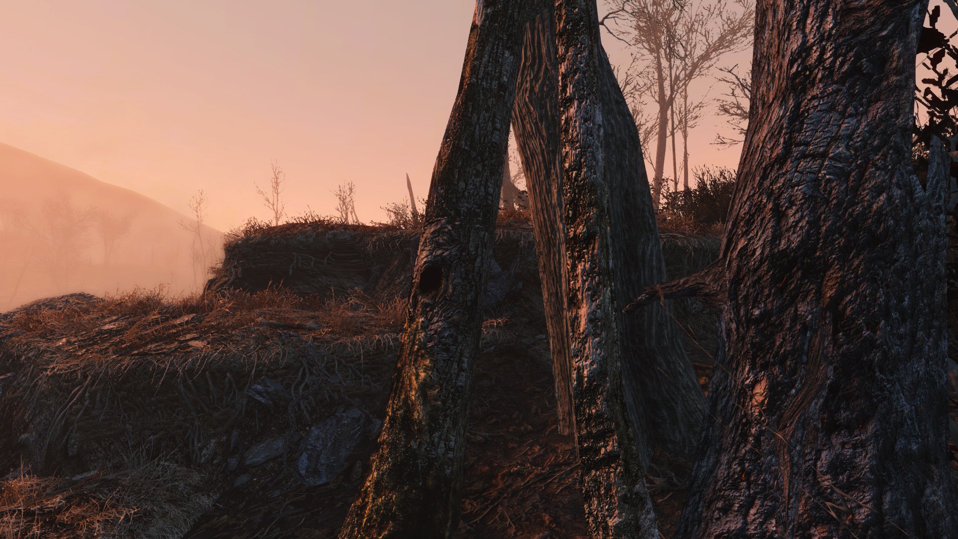 Fallout 4 деревья и трава фото 24