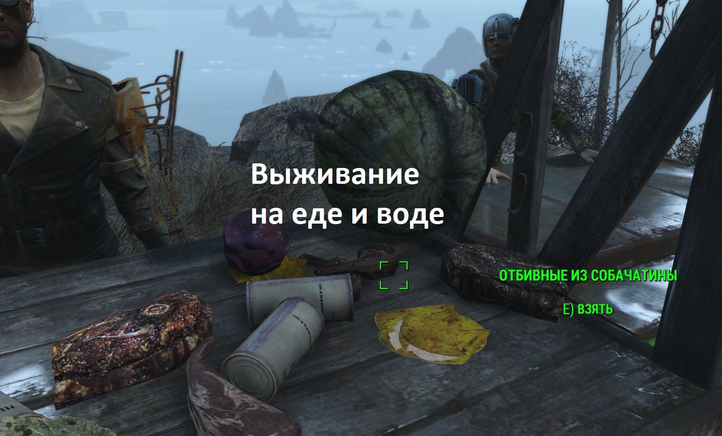 Fallout 4 режим выживание вода фото 100