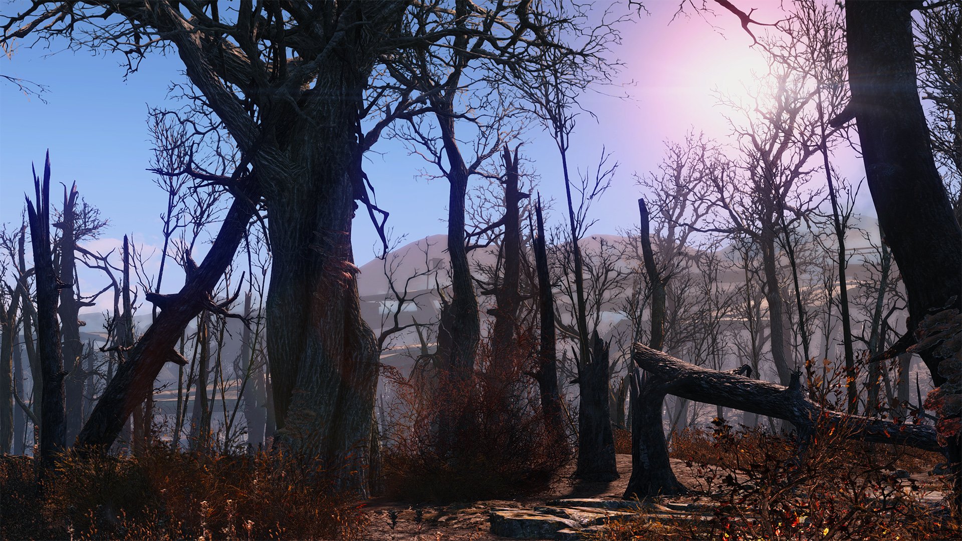 Reshade fallout 4 download фото 119